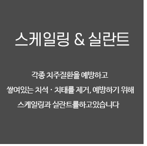 스케일링 및 실란트