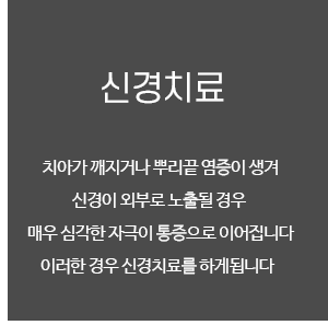 신경치료