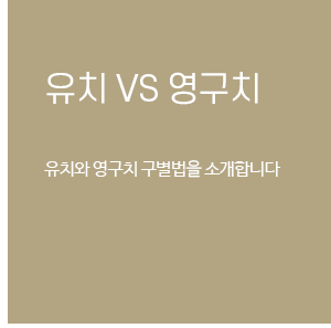 유치와 영구치