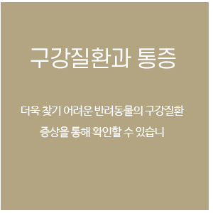 동물 구강질환과 통증