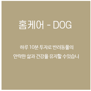 강아지 치과 홈케어