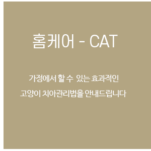 고양이 치과 홈케어
